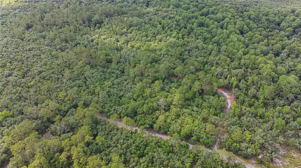 Tbd Off Riverview Road Fanning Springs FL 32693