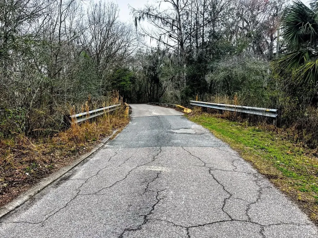 Tbd Off Riverview Road Fanning Springs FL 32693