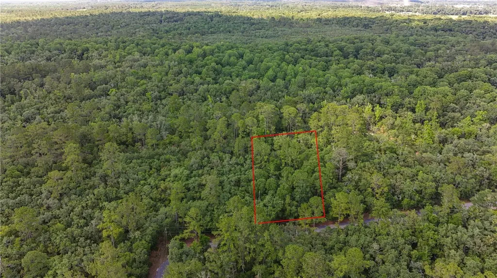 Tbd Off Riverview Road Fanning Springs FL 32693