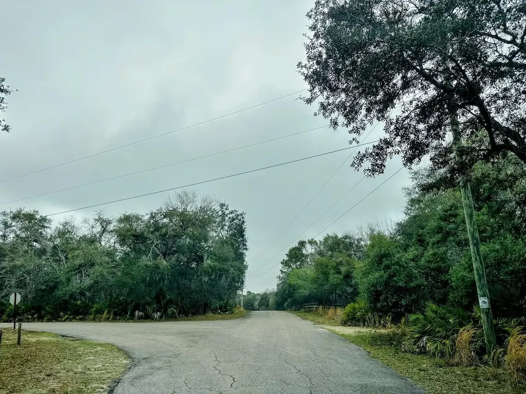 Tbd Off Riverview Road Fanning Springs FL 32693