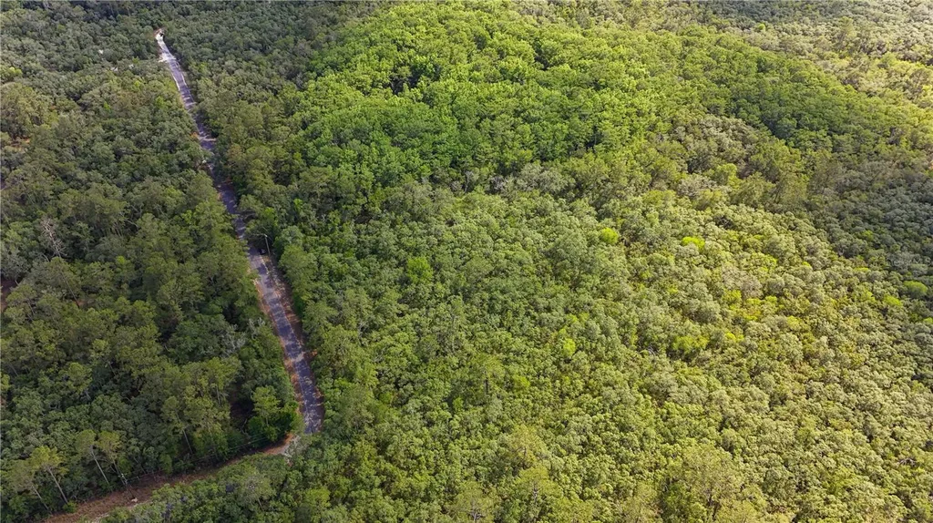 Tbd Off Riverview Road Fanning Springs FL 32693