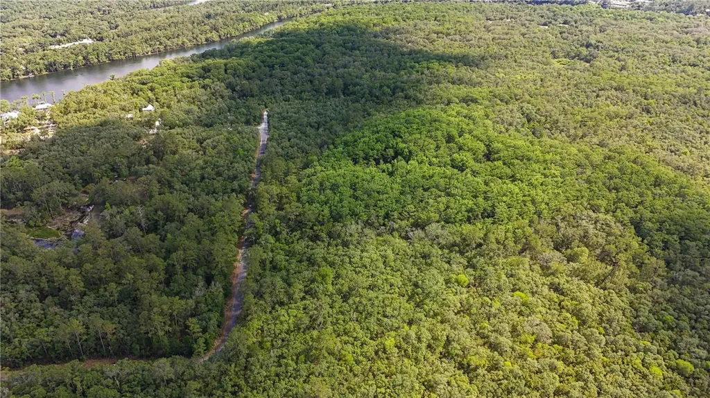 Tbd Off Riverview Road Fanning Springs FL 32693