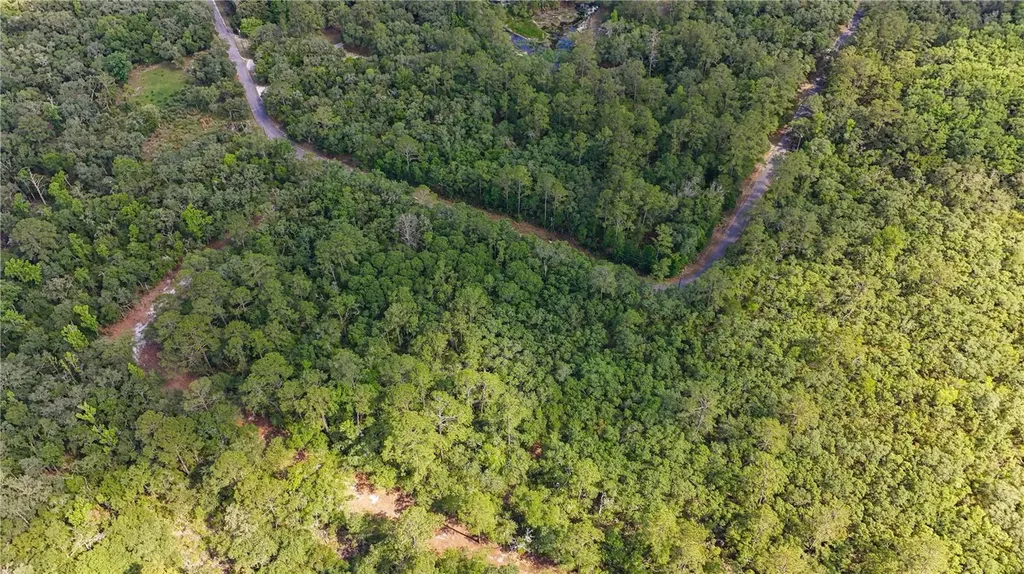 Tbd Off Riverview Road Fanning Springs FL 32693