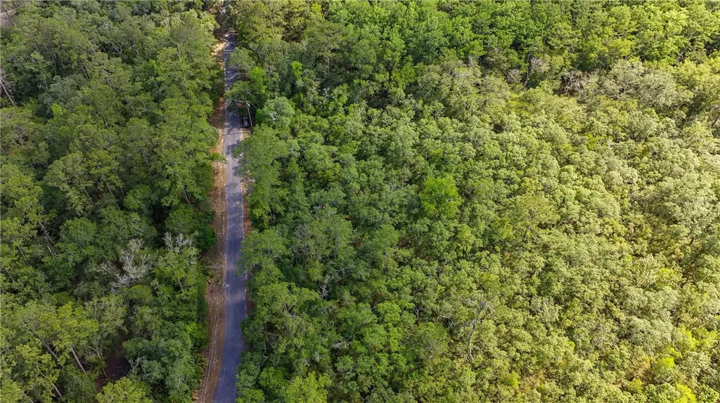 Tbd Off Riverview Road Fanning Springs FL 32693