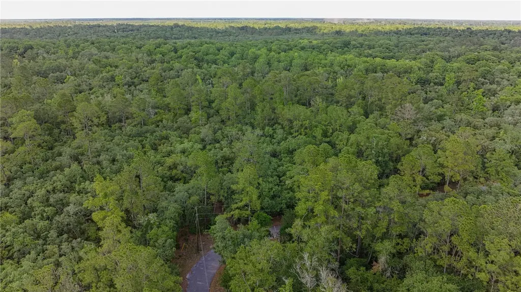 Tbd Off Riverview Road Fanning Springs FL 32693