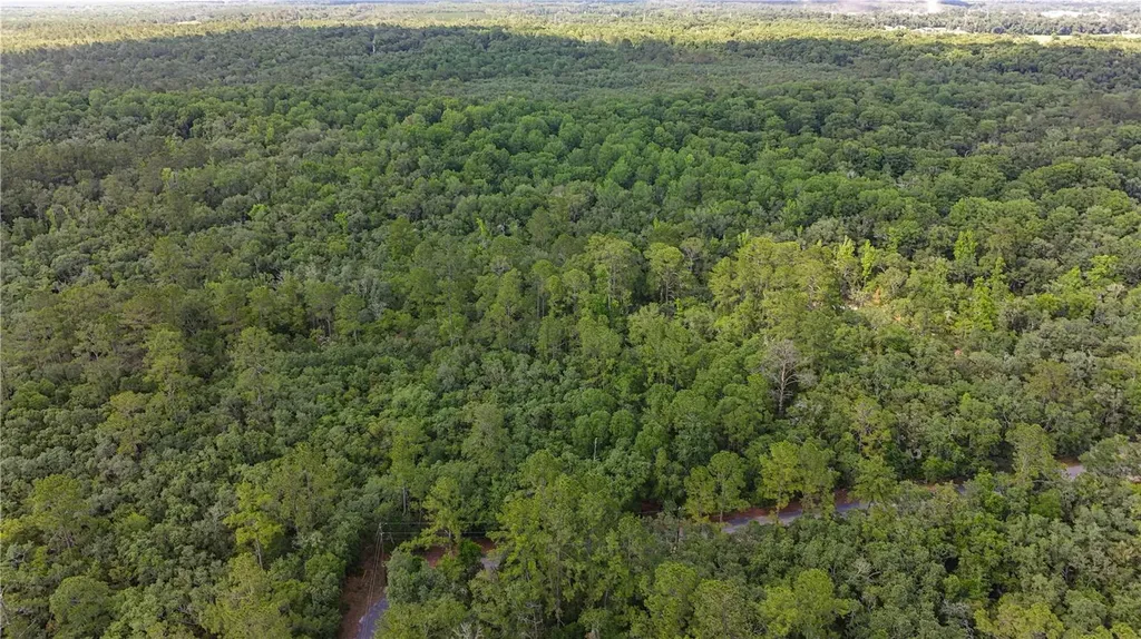 Tbd Off Riverview Road Fanning Springs FL 32693