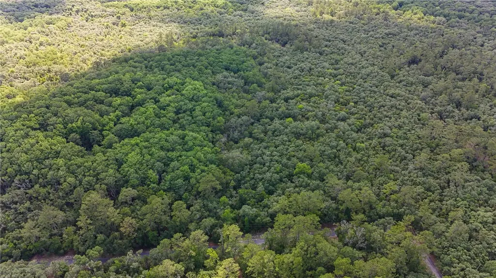 Tbd Off Riverview Road Fanning Springs FL 32693