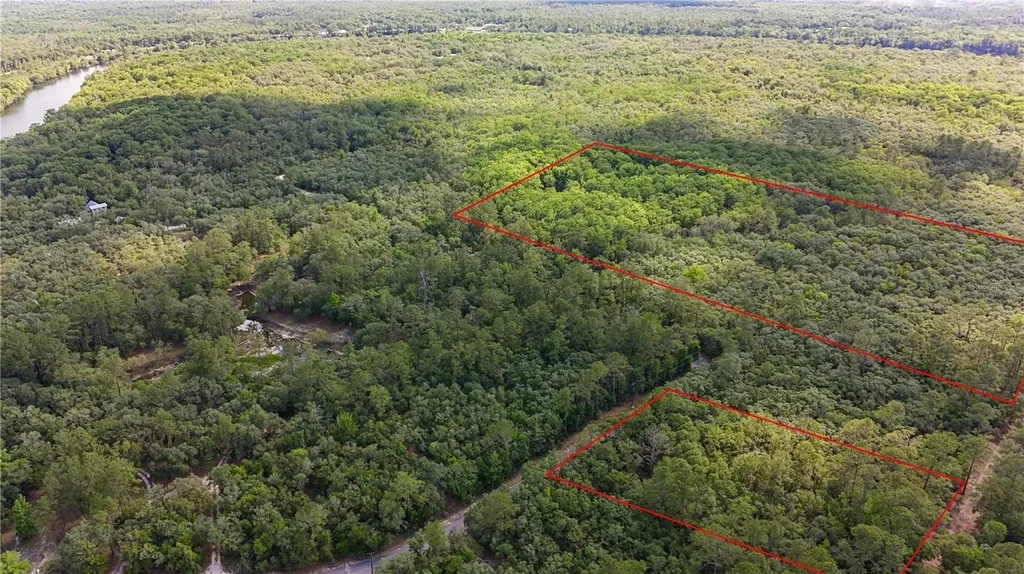 Tbd Off Riverview Road Fanning Springs FL 32693