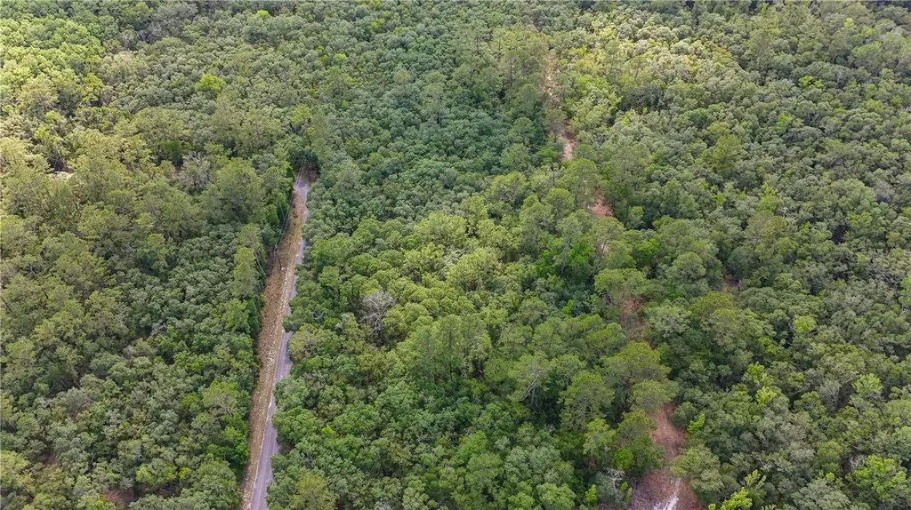Tbd Off Riverview Road Fanning Springs FL 32693