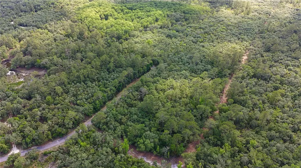 Tbd Off Riverview Road Fanning Springs FL 32693