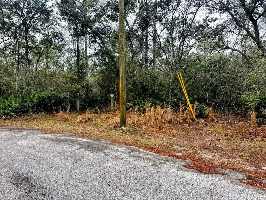 Tbd Off Riverview Road Fanning Springs FL 32693