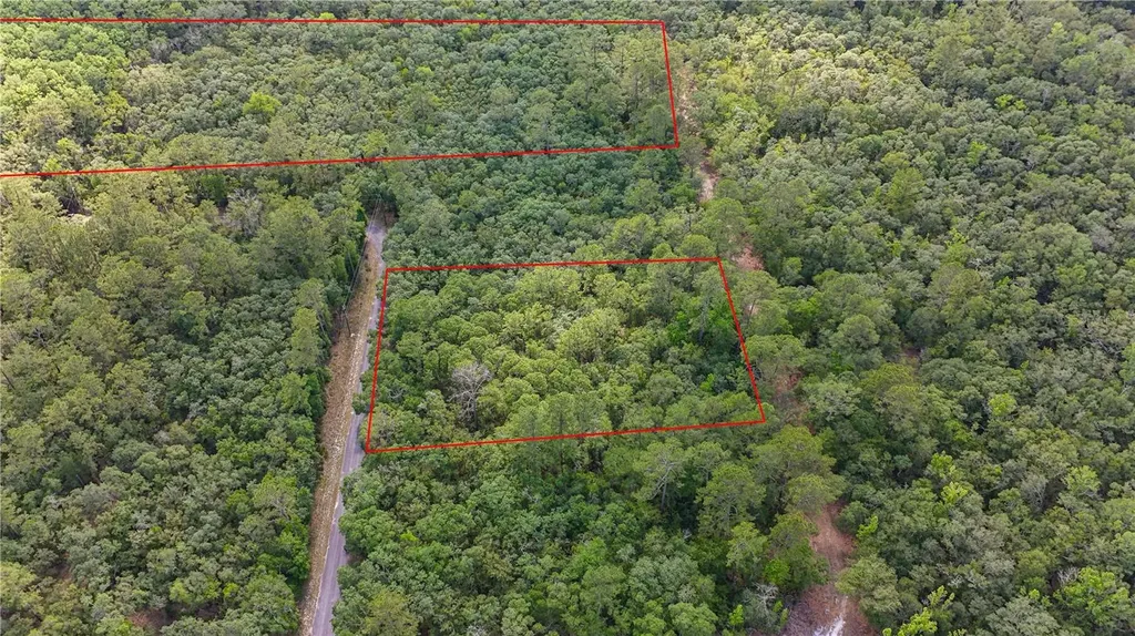 Tbd Off Riverview Road Fanning Springs FL 32693
