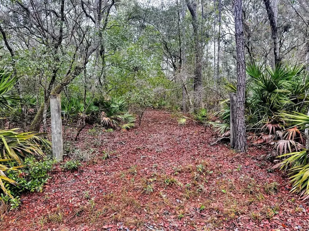 Tbd Off Riverview Road Fanning Springs FL 32693