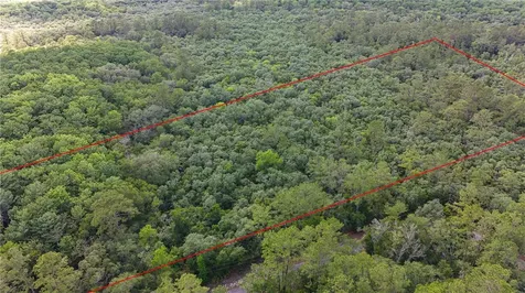Tbd Off Riverview Road Fanning Springs FL 32693