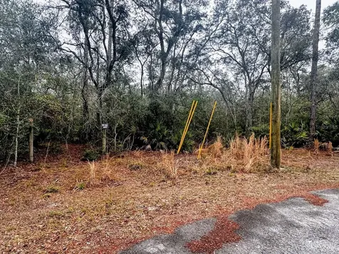 Tbd Off Riverview Road Fanning Springs FL 32693
