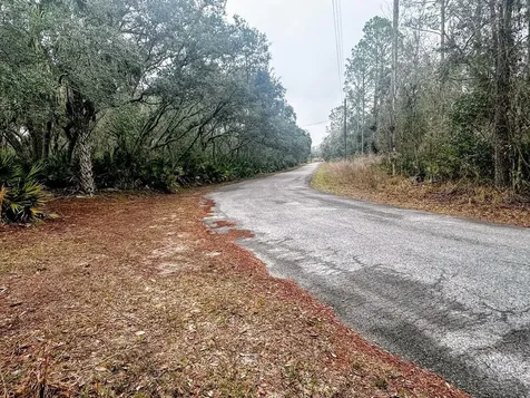 Tbd Off Riverview Road Fanning Springs FL 32693