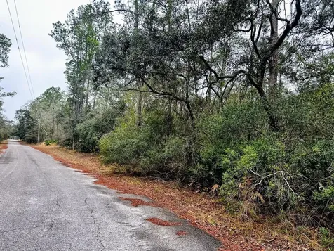Tbd Off Riverview Road Fanning Springs FL 32693