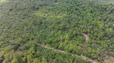 Tbd Off Riverview Road Fanning Springs FL 32693