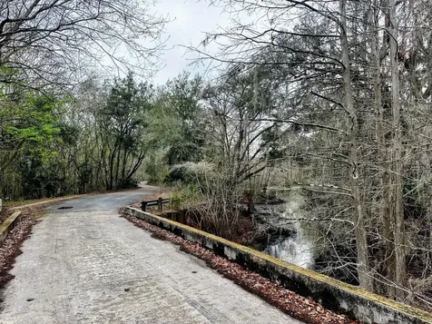 Tbd Off Riverview Road Fanning Springs FL 32693