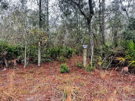 Tbd Off Riverview Road Fanning Springs FL 32693