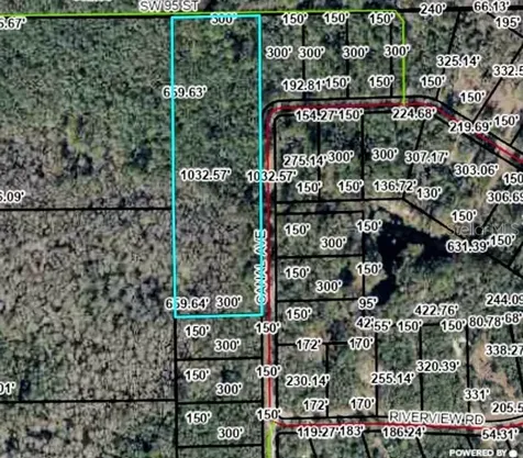 Tbd Off Riverview Road Fanning Springs FL 32693