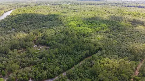 Tbd Off Riverview Road Fanning Springs FL 32693