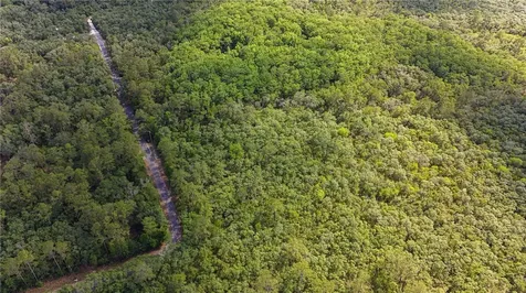Tbd Off Riverview Road Fanning Springs FL 32693