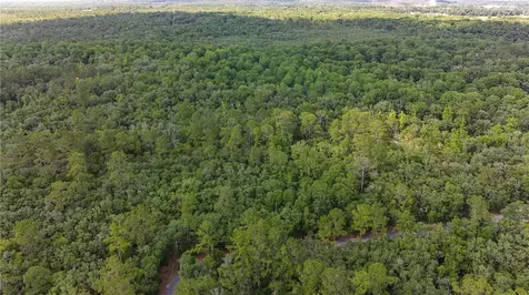 Tbd Off Riverview Road Fanning Springs FL 32693