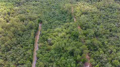 Tbd Off Riverview Road Fanning Springs FL 32693
