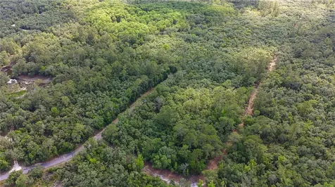 Tbd Off Riverview Road Fanning Springs FL 32693