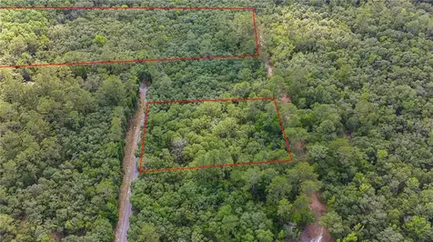 Tbd Off Riverview Road Fanning Springs FL 32693