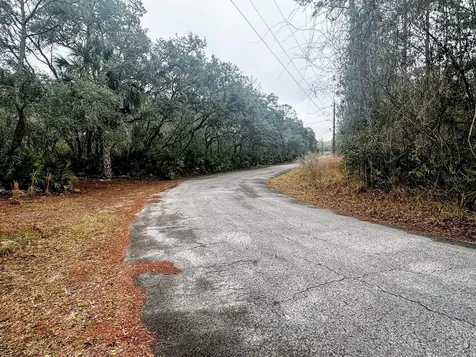 Tbd Off Riverview Road Fanning Springs FL 32693