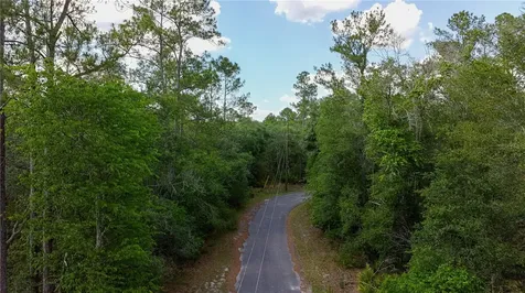 Tbd Off Riverview Road Fanning Springs FL 32693
