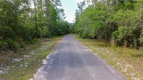 Tbd Off Riverview Road Fanning Springs FL 32693