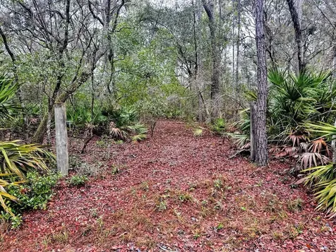 Tbd Off Riverview Road Fanning Springs FL 32693