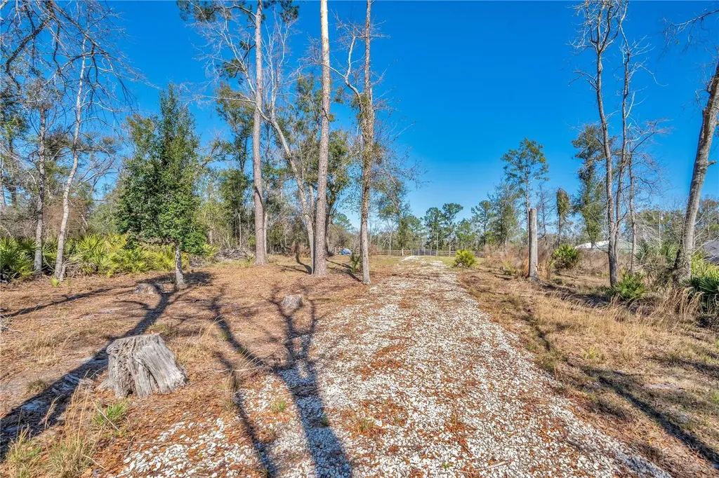 0 Boeing Street Live Oak FL 32060