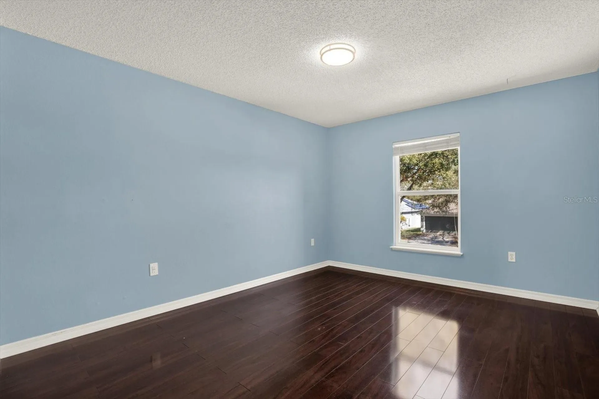 6213 Venezia Place Riverview FL 33578