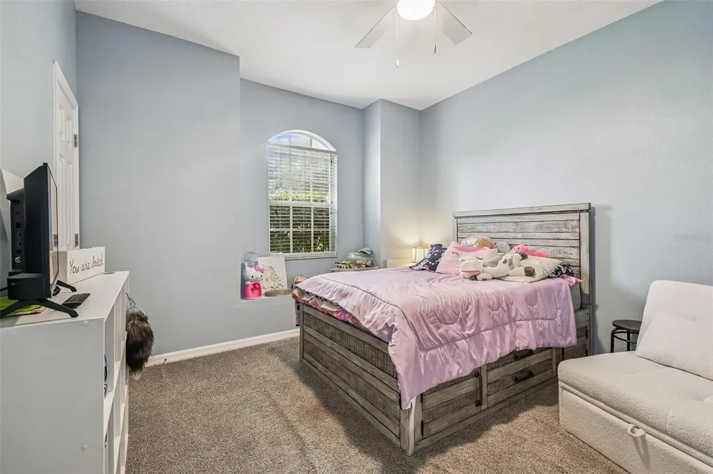10022 Cannon Drive Riverview FL 33578