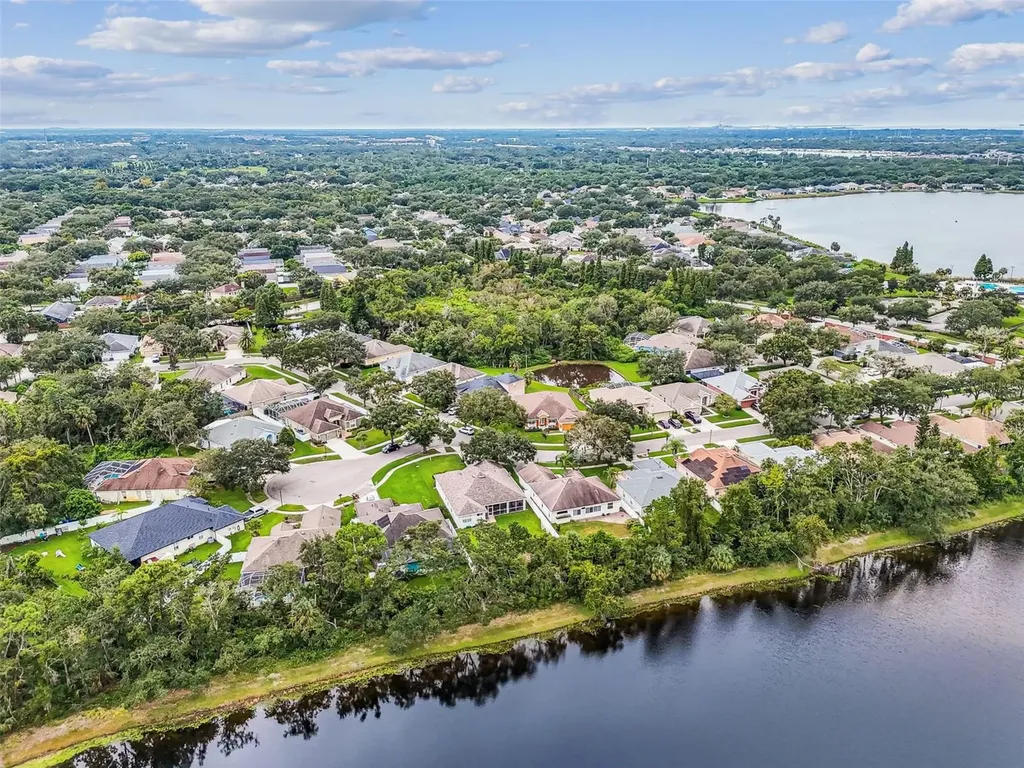 10022 Cannon Drive Riverview FL 33578