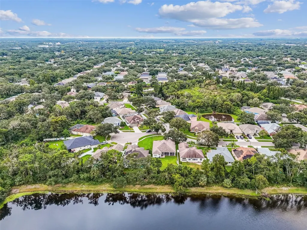 10022 Cannon Drive Riverview FL 33578