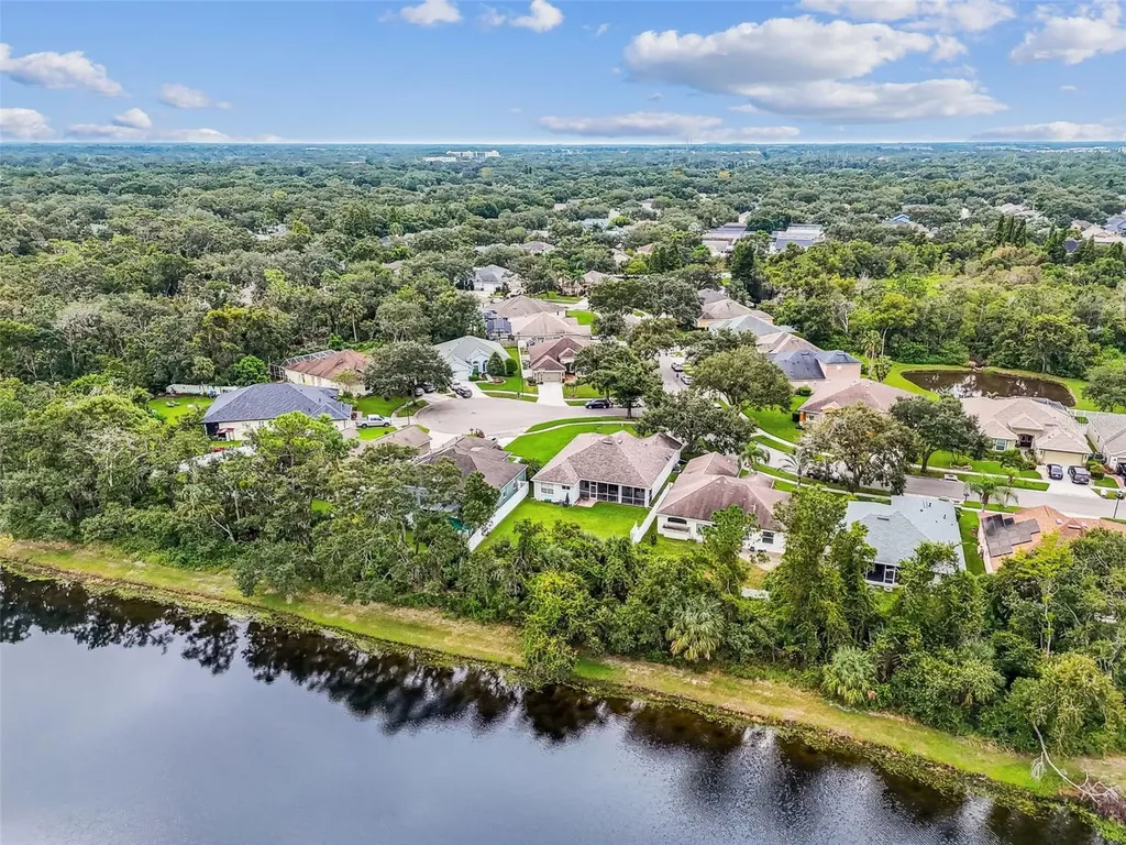10022 Cannon Drive Riverview FL 33578