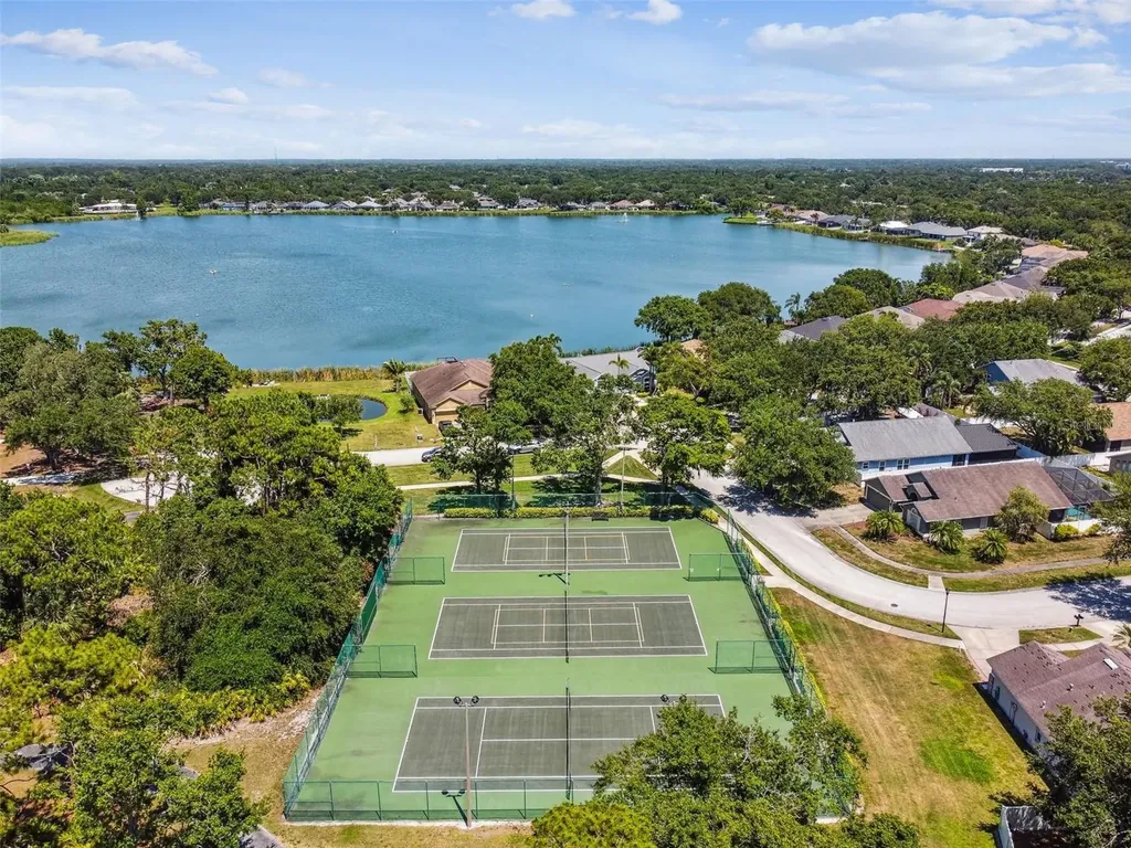 10022 Cannon Drive Riverview FL 33578