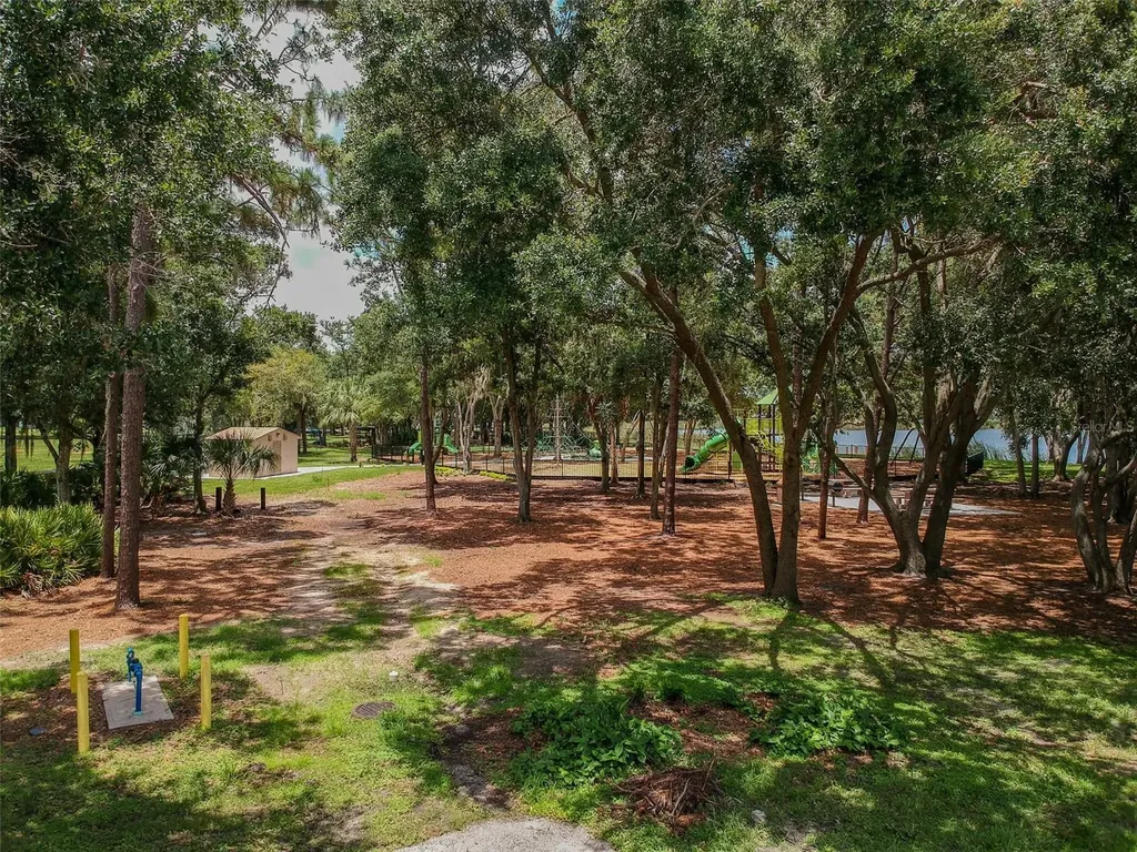 10022 Cannon Drive Riverview FL 33578