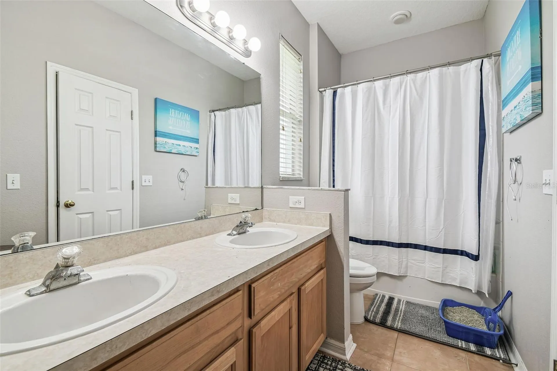 10022 Cannon Drive Riverview FL 33578