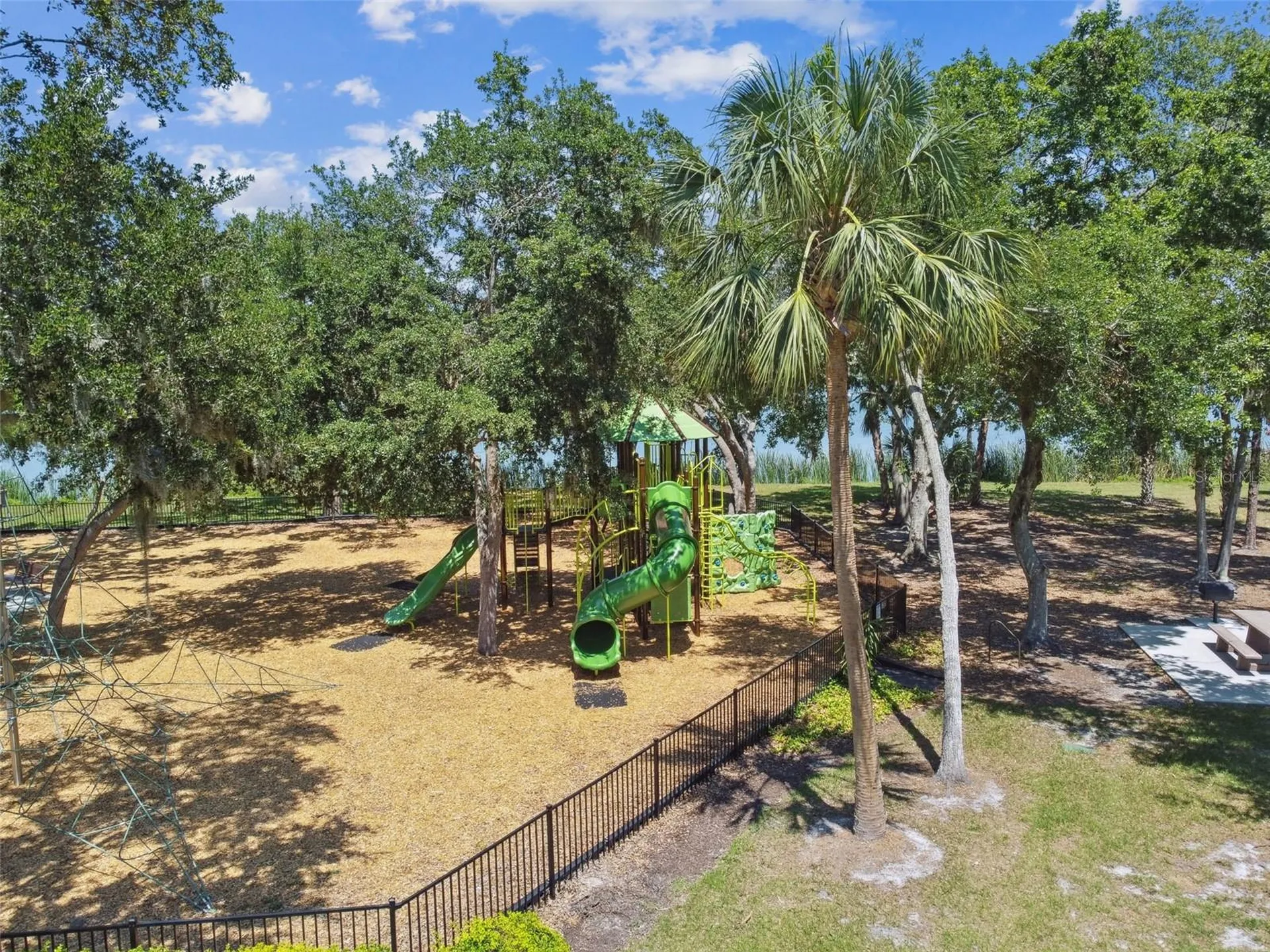 10022 Cannon Drive Riverview FL 33578