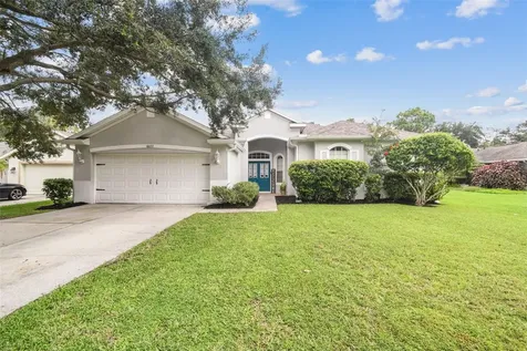 10022 Cannon Drive Riverview FL 33578