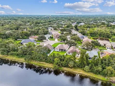 10022 Cannon Drive Riverview FL 33578