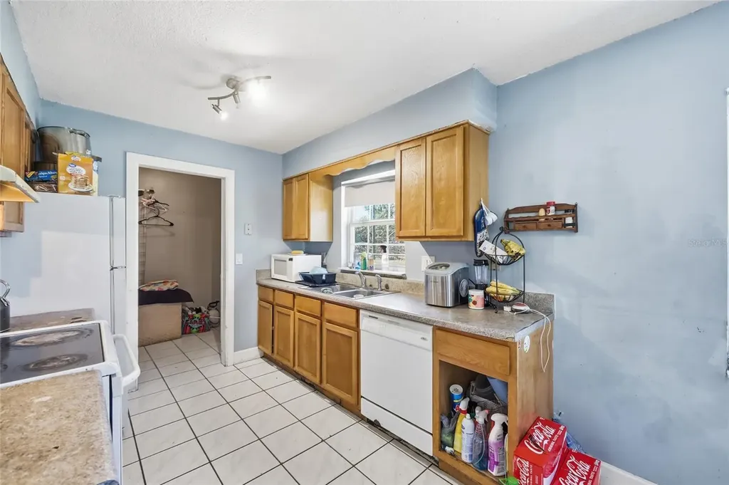 1314 Robie Avenue Mount Dora FL 32757