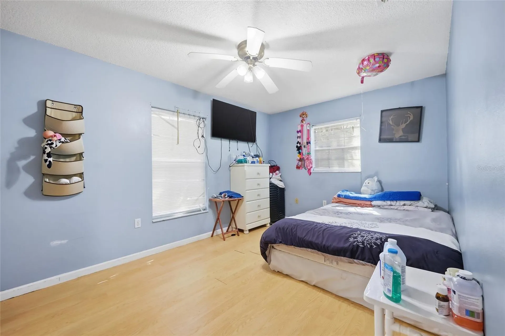 1314 Robie Avenue Mount Dora FL 32757