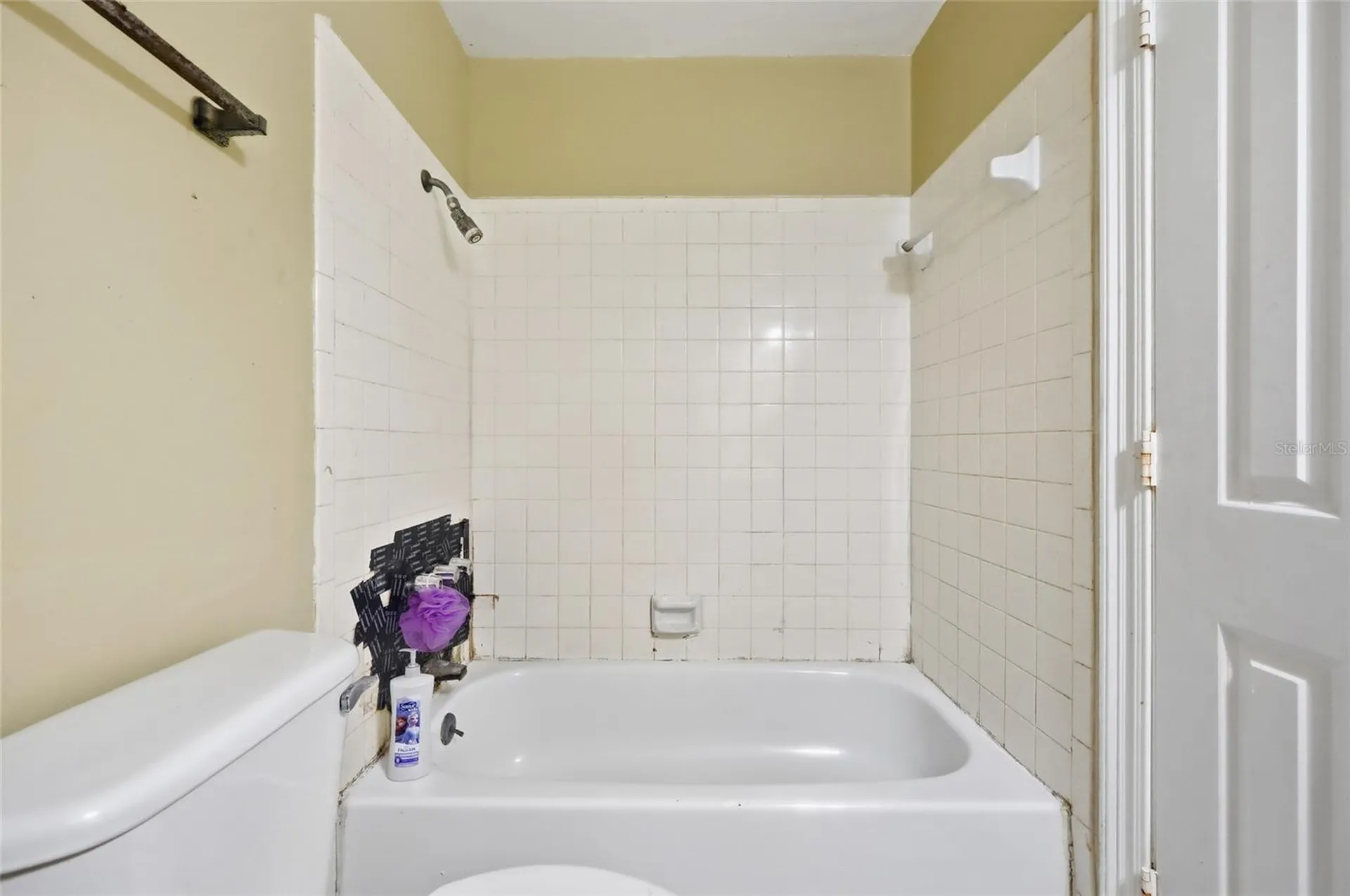 1314 Robie Avenue Mount Dora FL 32757